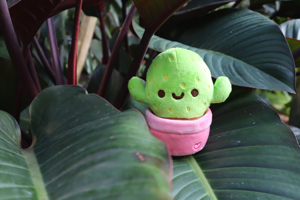 Cactus Plush Toy - Pink