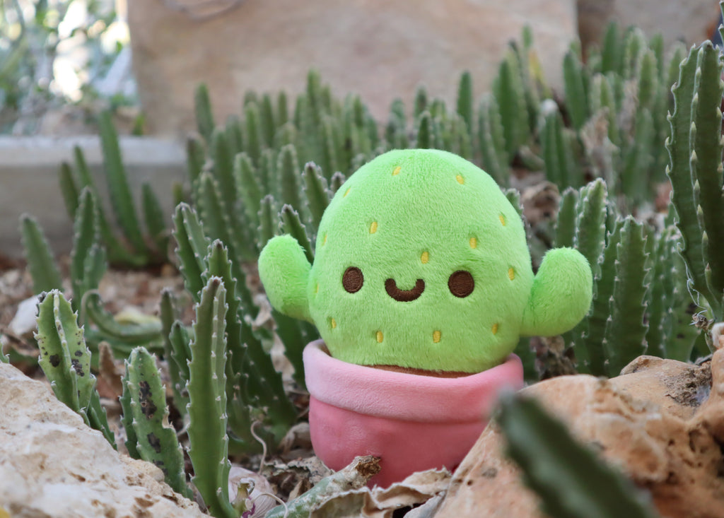 Cactus Plush Toy - Pink